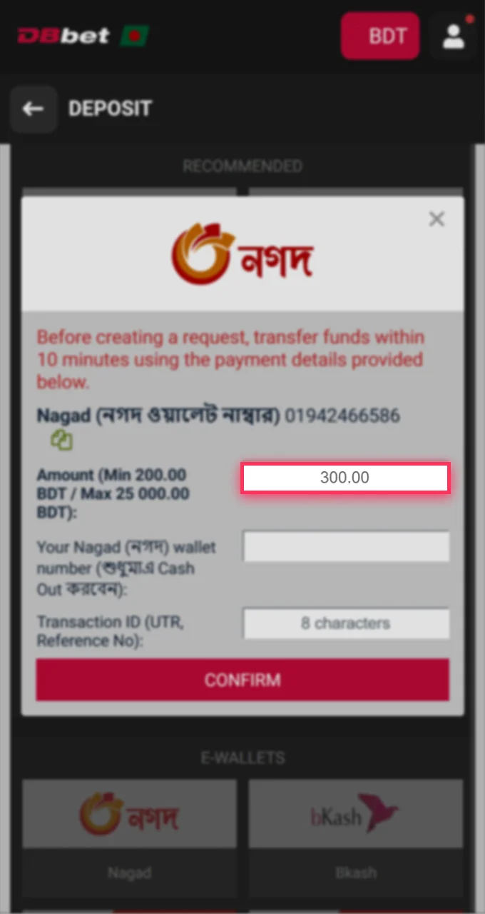 Enter your wallet details and deposit amount to top up your DBbet account.